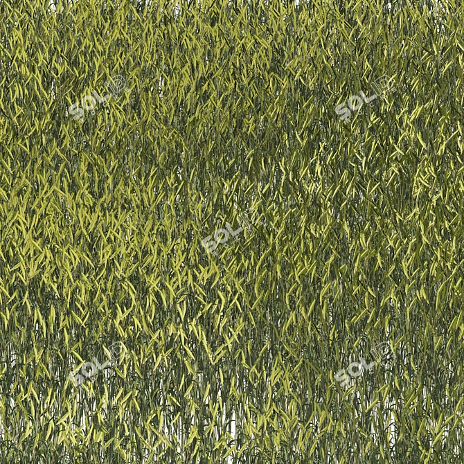 Lush Wheat Field 3D Model 3D model image 2