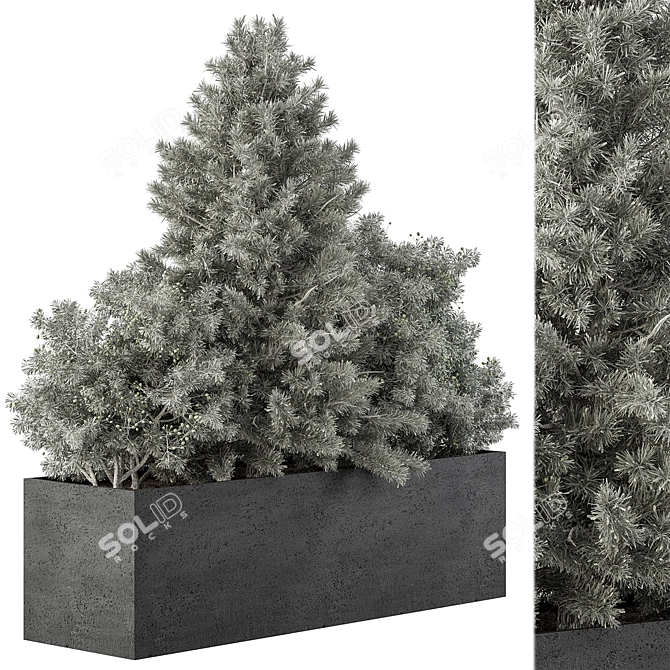 Outdoor Plant Box Selection 494 3D model image 1