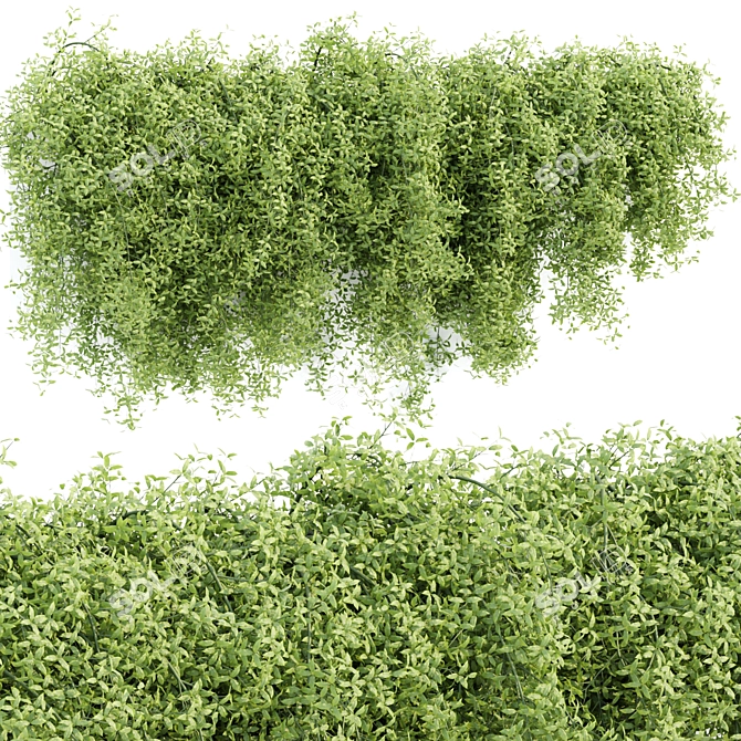 Modern Hanging Wall Plants Vol 171 3D model image 1