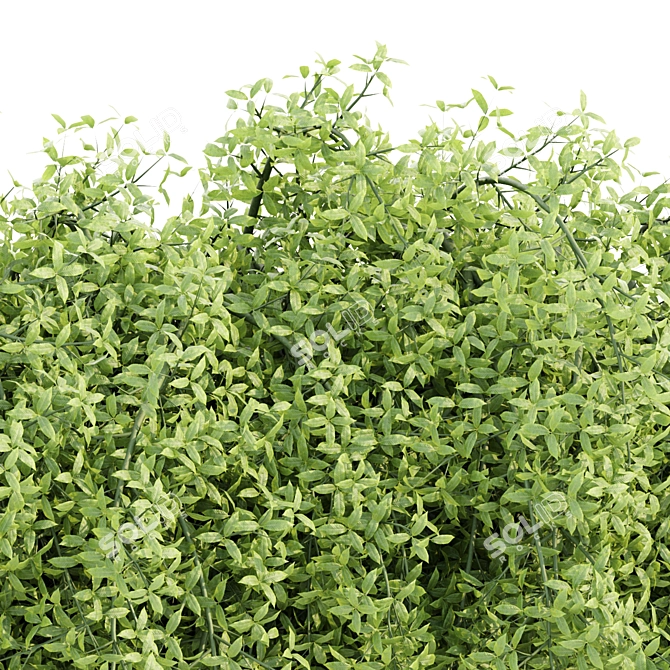 Modern Hanging Wall Plants Vol 171 3D model image 2