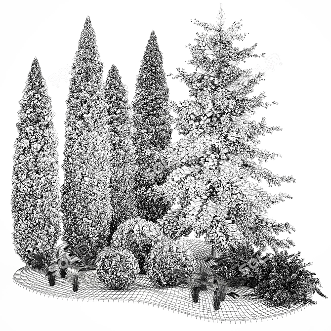 Coniferous Greenery Collection 3D model image 6