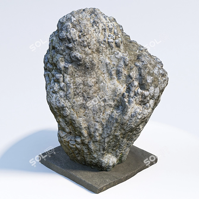 Natural Stone for Landscaping 3D model image 4