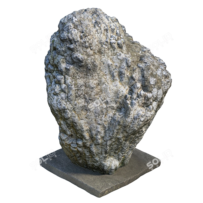 Natural Stone for Landscaping 3D model image 10