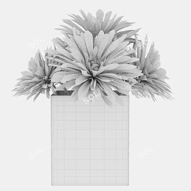 Modern Plant 36 Render Pack 3D model image 4