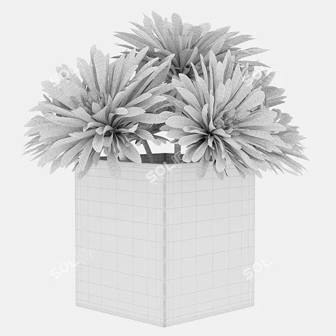 Modern Plant 36 Render Pack 3D model image 5