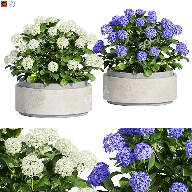 Design 4 Outdoor Plant 3D model image 1