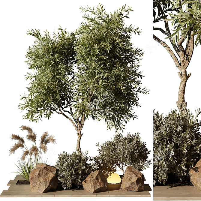 Outdoor Plant 194 3D Model 3D model image 1