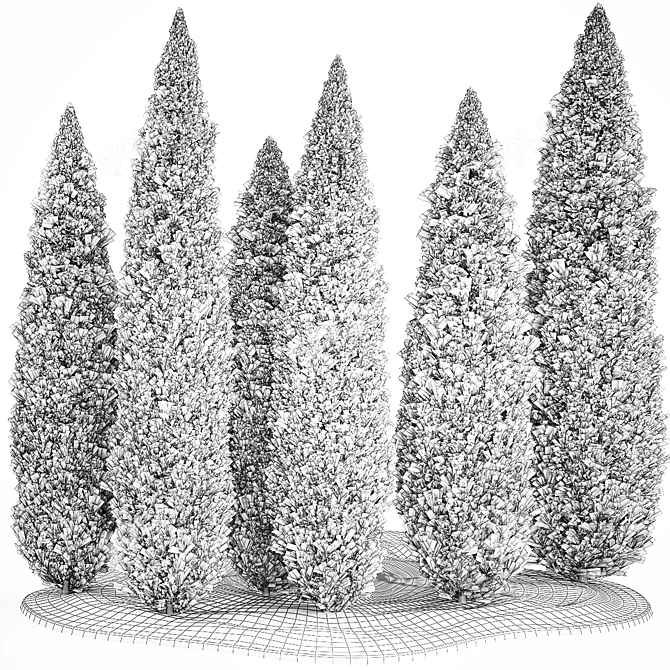 Coniferous Trees Set for Landscaping 3D model image 7