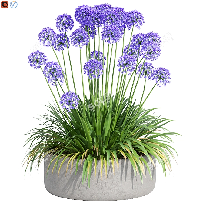 Agapanthus Design-Populating Plants 3D model image 1
