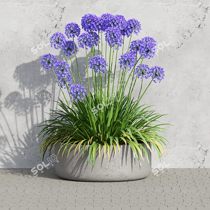 Agapanthus Design-Populating Plants 3D model image 2
