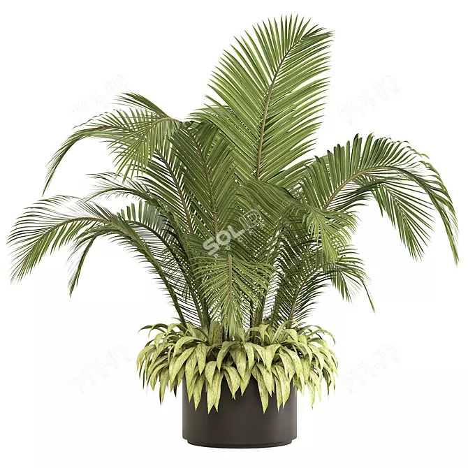 Tall Palm Indoor Plant Décor 3D model image 1