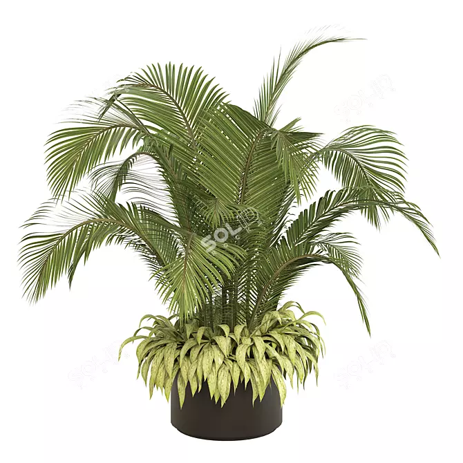 Tall Palm Indoor Plant Décor 3D model image 2