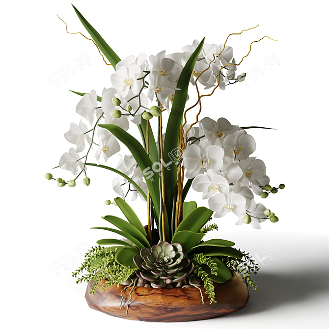 White Orchid in Wooden Planter 3D model image 3