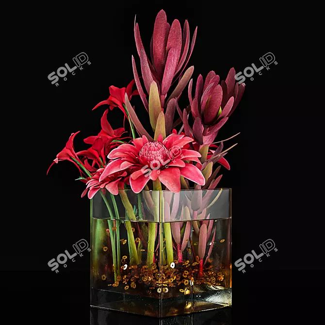  Coronal Plant 42 3D Model 3D model image 2