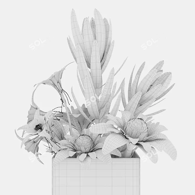  Coronal Plant 42 3D Model 3D model image 4