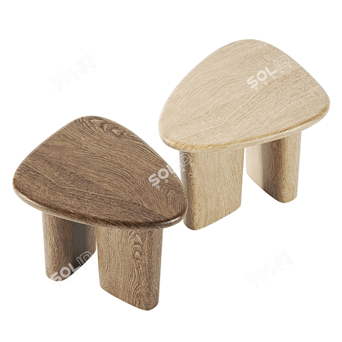 Anthropologie Kalle Oak Sculptural Furniture 3D model image 2