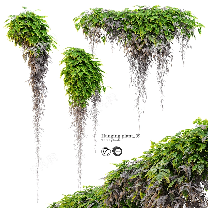 Triple Hanging Plant Set 3D model image 1