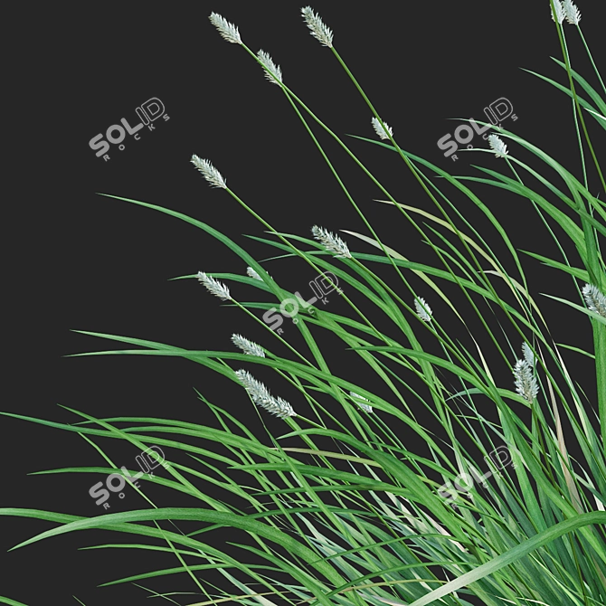 Glistening Decorative Grass Collection 3D model image 4