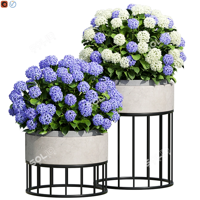 Design 3 Bigleaf Hydrangea Bush 3D model image 1