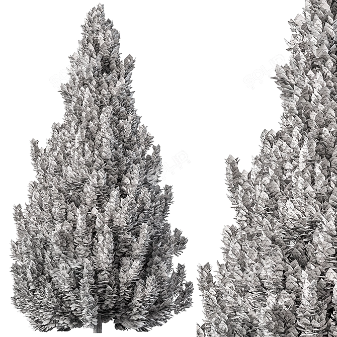  Forest Series 134 Pine Trees 3D model image 3