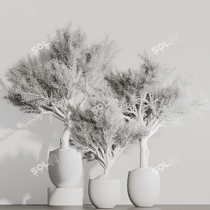 Olive Tree Indoor Plant Set 3D model image 6