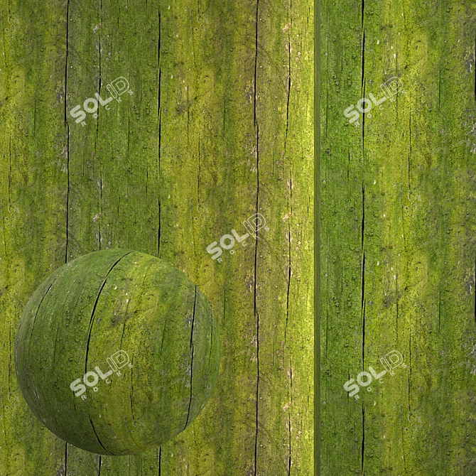 Seamless Wood Texture Pack 3D model image 1