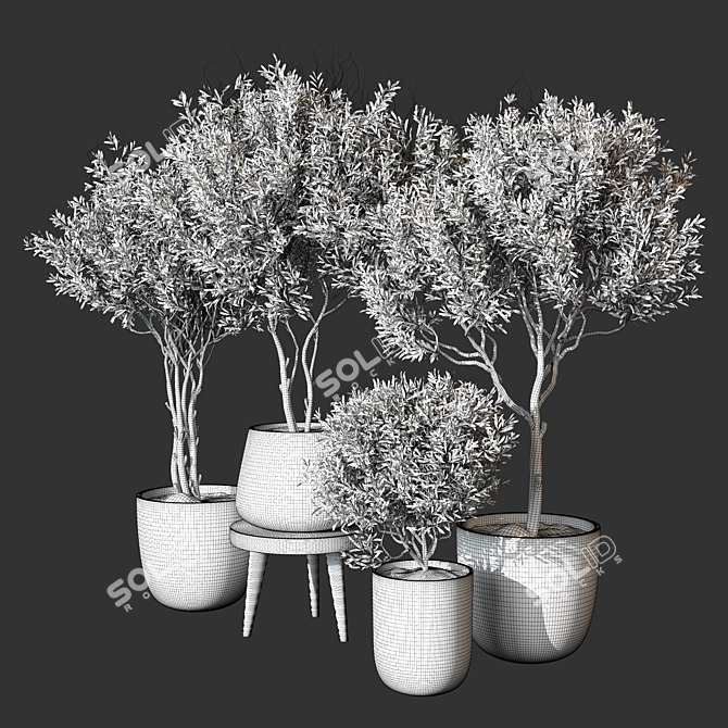 Indoor Plant 3D Model Collection 3D model image 4