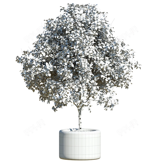 Field Maple Outdoor Tree 3D model image 2