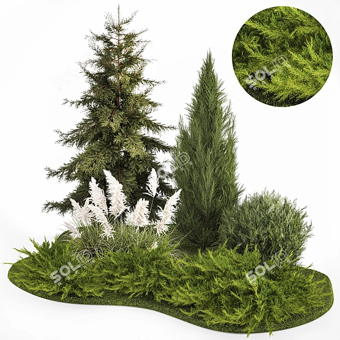 Title: Alpine Plant Collection Set 3D model image 1