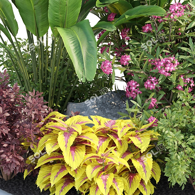 Painted Nettle Plants 3D Model 3D model image 3