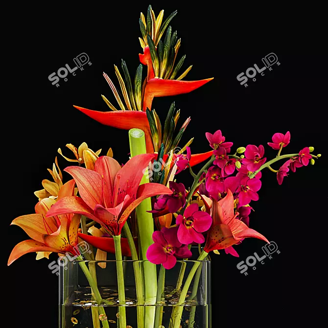  48 Botanical Render Collection 3D model image 3