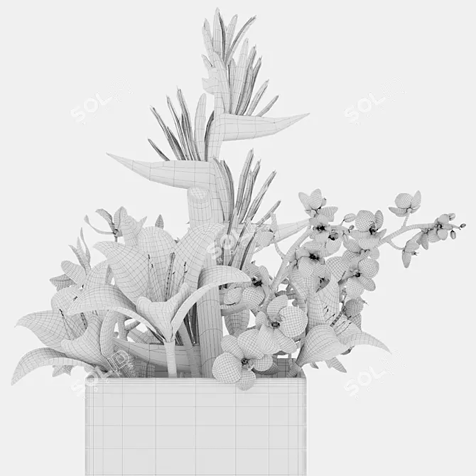  48 Botanical Render Collection 3D model image 4