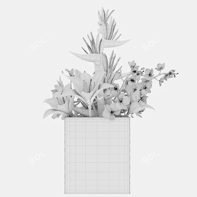  48 Botanical Render Collection 3D model image 5