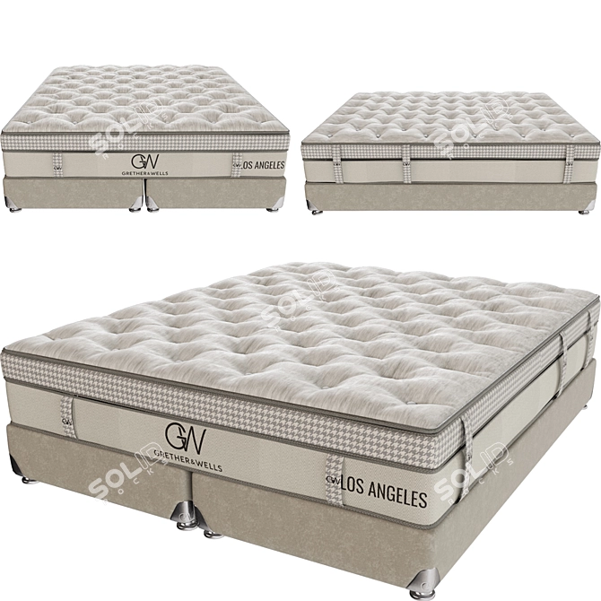 Grether & Wells LA Mattress 3D model image 1