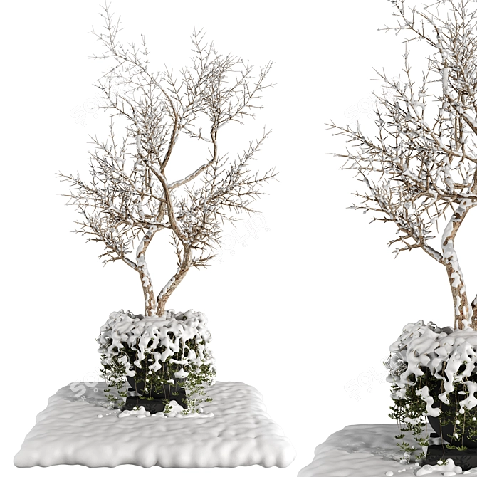 Outdoor Plants 2 Snow Decoration 3D model image 1