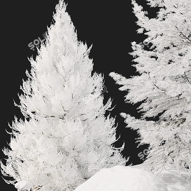 Winter Wonderland Plant Set 3D model image 3