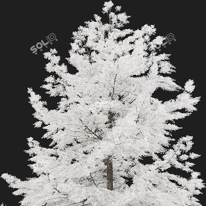 Winter Wonderland Plant Set 3D model image 6