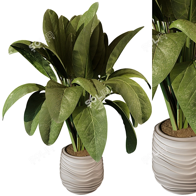 Modern Indoor Plant 220 Décor 3D model image 2