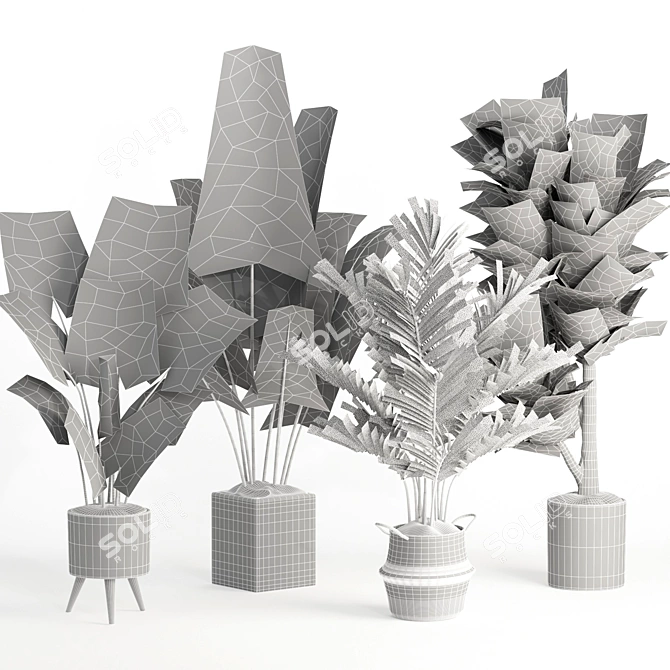 Modern Indoor Plant Collection Set 3D model image 4