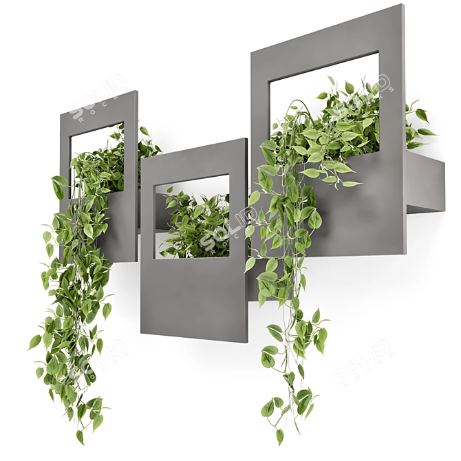Modern Indoor Hanging Plants Shelve 3D model image 1