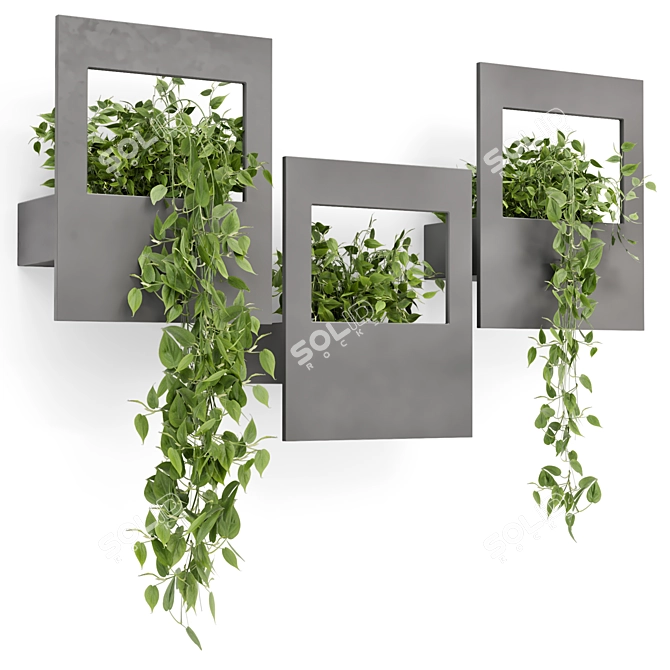 Modern Indoor Hanging Plants Shelve 3D model image 2