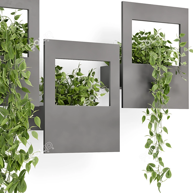 Modern Indoor Hanging Plants Shelve 3D model image 5