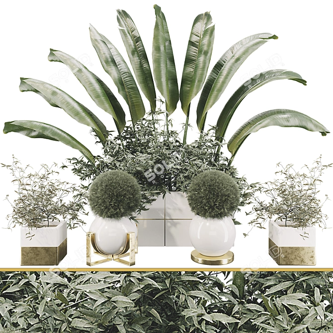 Lush Plant Collection Set 3D model image 1