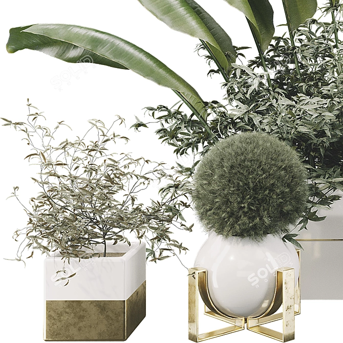 Lush Plant Collection Set 3D model image 2