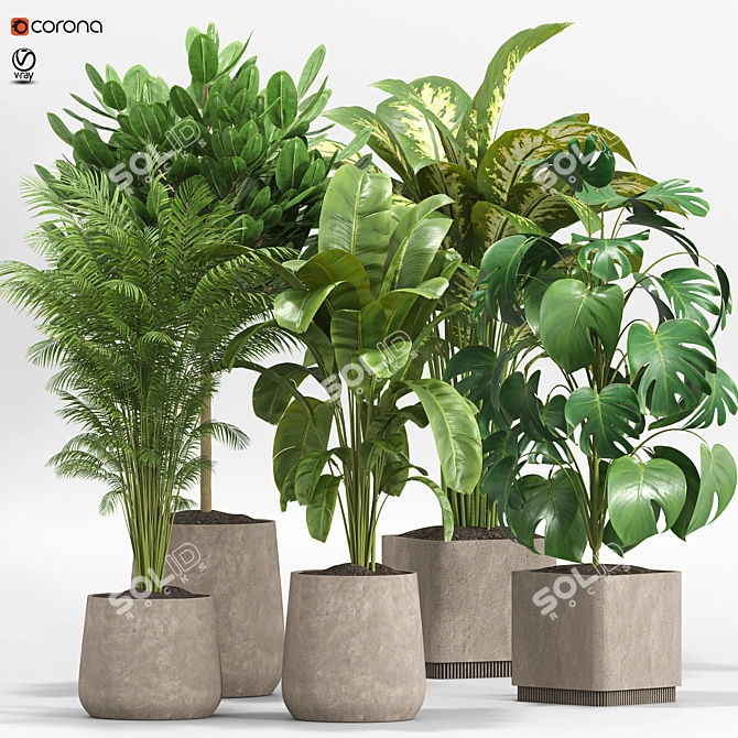 Lush Green Indoor Plants Set 3D model image 1