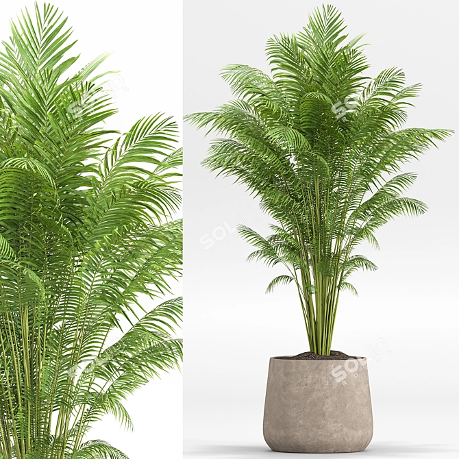 Lush Green Indoor Plants Set 3D model image 4