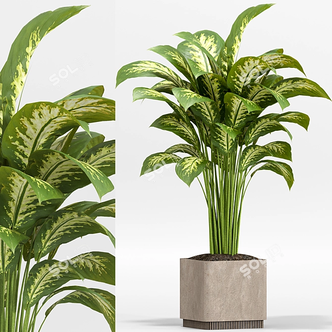 Lush Green Indoor Plants Set 3D model image 5