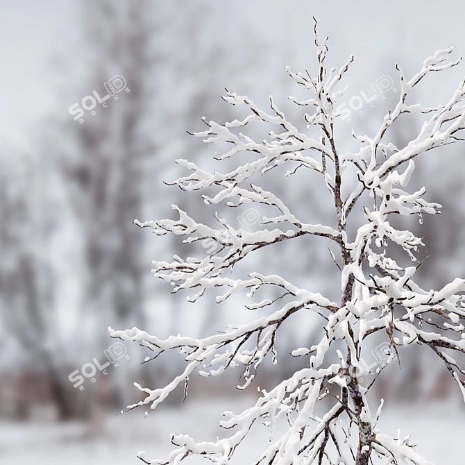 Frosty Winter Young Trees 3D model image 2