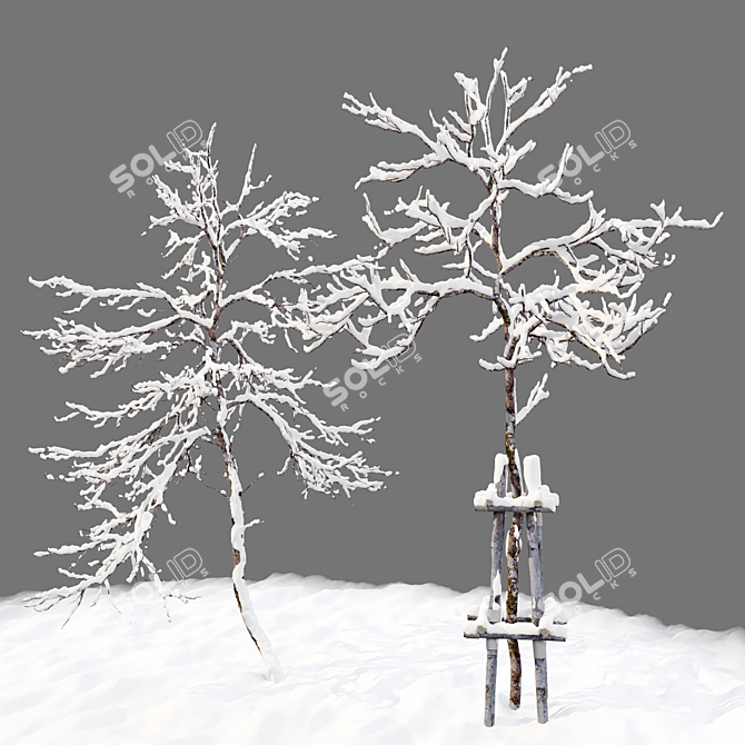 Frosty Winter Young Trees 3D model image 3