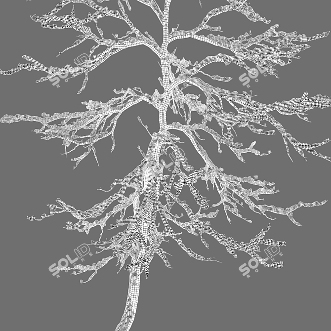 Frosty Winter Young Trees 3D model image 6